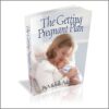 The Getting Pregnant Plan