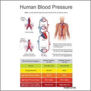 The Blood Pressure Exercises